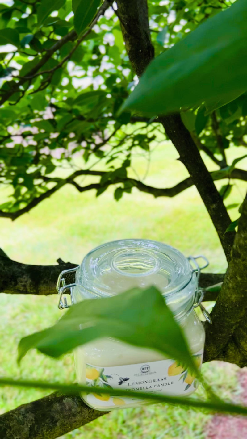 LIMITED EDITION | Lemongrass Luxury Citronella Candle